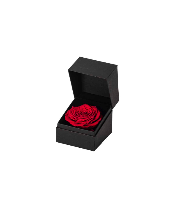 **Gift box rosa rossa stabilizzata 9,5×9,5×9 cm**